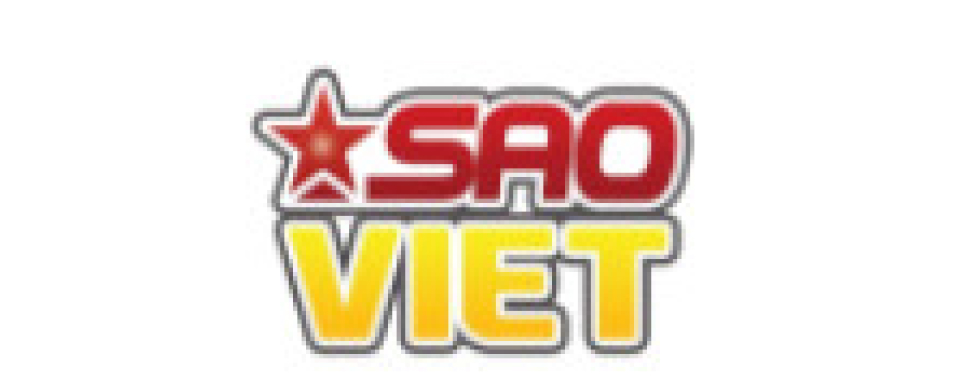 sao việt logo đối tác